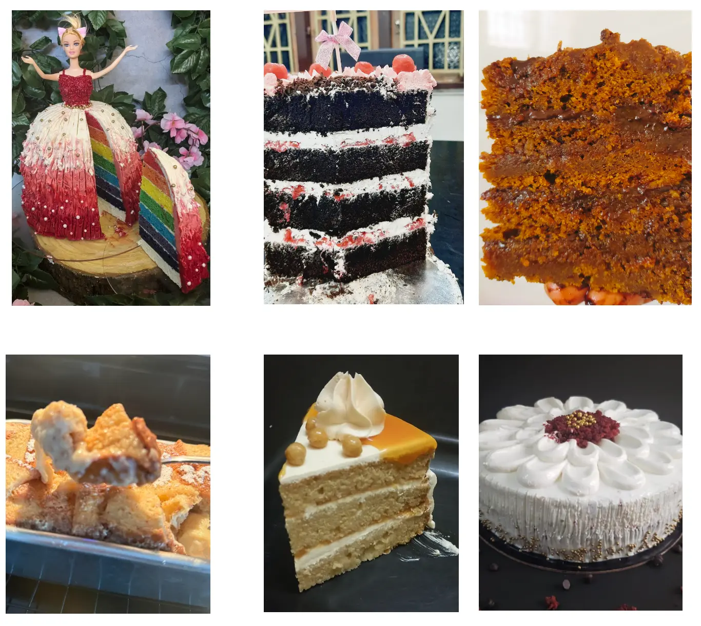 Barbie rainbow cake, Black Forest tower, caramel slice, bread pudding, caramel layer slice, flower cake